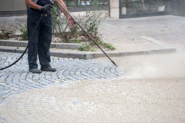 Best Animal Enclosure Cleaning  in Schenectady, NY
